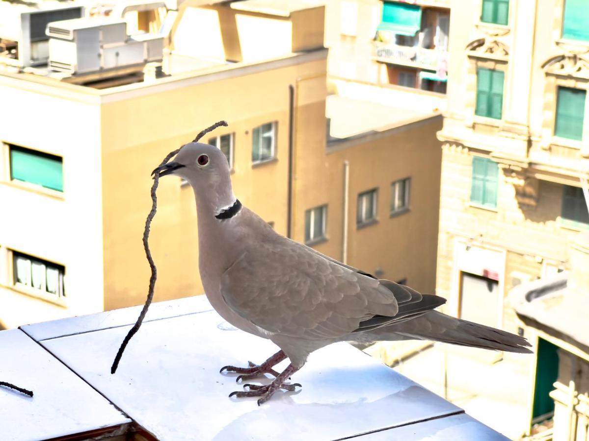 Home Sweet Home Nel Cuore Di Genova Zewnętrze zdjęcie